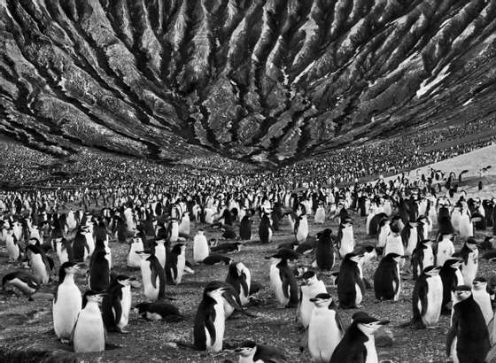 genesis-sebastiao-salgado1