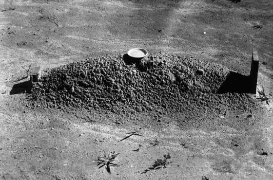 A sharecropper's grave in Hale County, Alabama.   (Photo by Walker Evans/Getty Images)