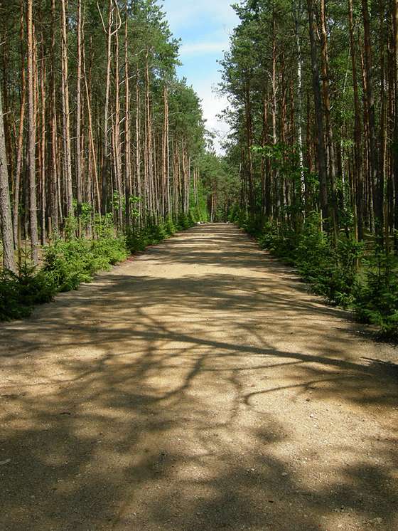 "Estrada para o C&Atilde;&copy;u" fotografada em 2007