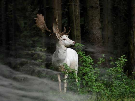 (c) Georg May, Germany, Open Competition, 2015 Sony World Photography Awards