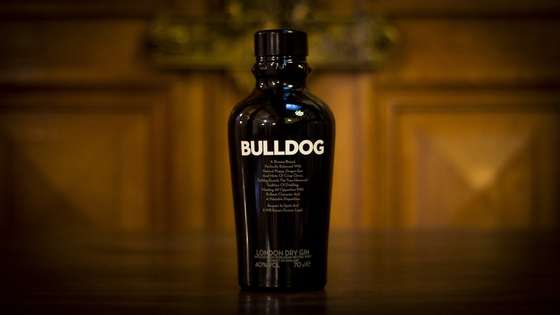 Gin, Bulldog Gin, MBA, bebida, 