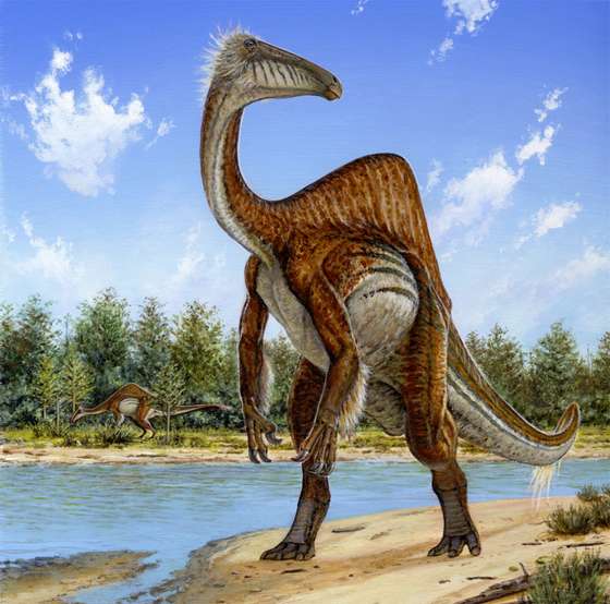 Deinocheirus mirificus_Michael Skrepnick