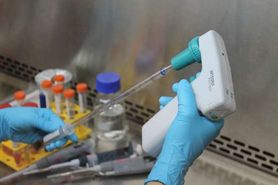 Laborat&Atilde;&sup3;rio VI