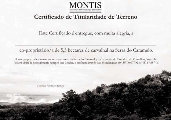 Certificado33