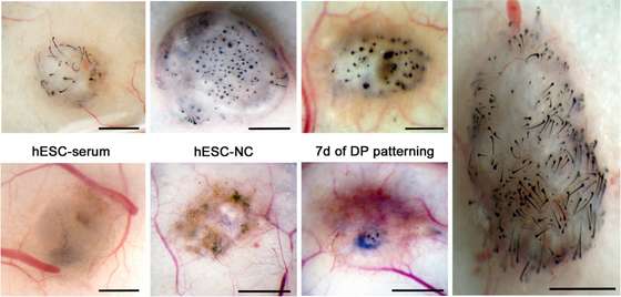 journals.plos.org