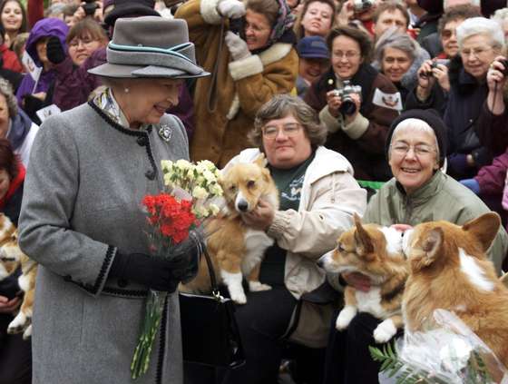 WINNIPEG, CANADA: Queen Elizabeth II talks with members of the Manitoba Corgi Association during a visit to Winnipeg 08 October 2002. The queen, making her 20th trip to Canada, is the last stop on the year-long jubilee tour celebrating her 50-year reign. AFP PHOTO/POOL/Adrian WYLD (Photo credit should read ADRIAN WYLD/AFP/Getty Images)