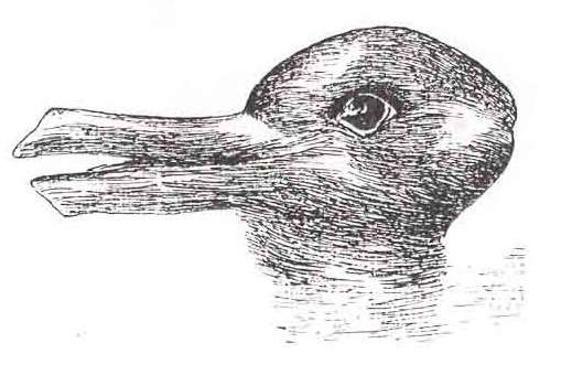 pato-coelho