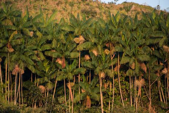 DOUNIAMAG-BRAZIL-ENVIRONMENT-AMAZON-XINGU