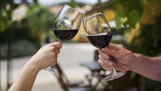 vinho, vinha, uva, adega, sant'ana, 