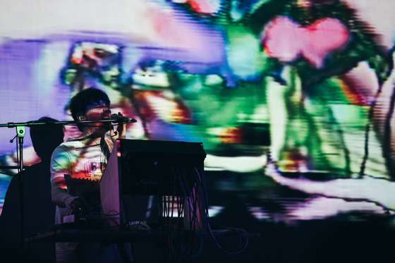 panda bear no maria matos 2015