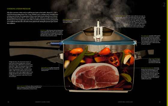 Pressure Cooker Cutaway