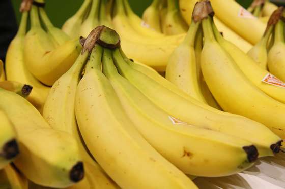 Bananas from the French Antilles (French West Indies) are exhibited during the 2015 edition of the Paris International Agricultural Show on February 22, 2015 at the Agricultural Fair in Paris. The event runs until March 1, 2015.  AFP PHOTO / PATRICK KOVARIK        (Photo credit should read PATRICK KOVARIK/AFP/Getty Images)