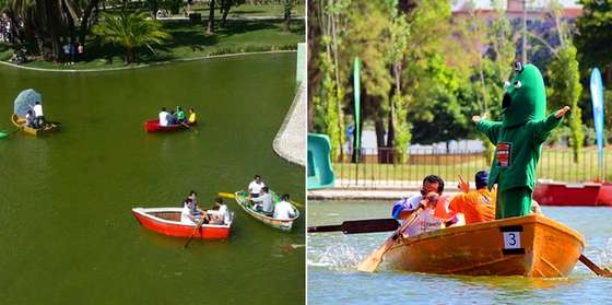 regata barcos a remo