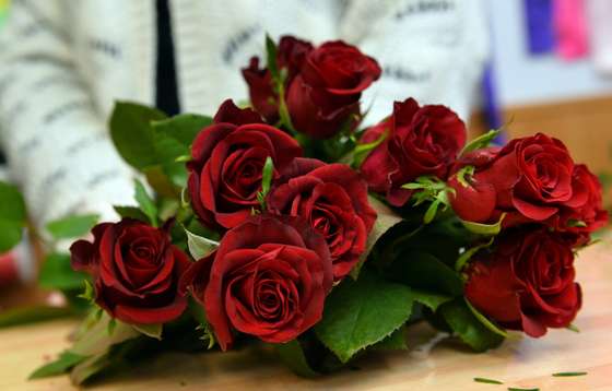 Florist Katie Smith prepares a bouquet of roses for sale for Valentine's Day at her shop in Wallasey, north west England, on February 10, 2014. AFP PHOTO / PAUL ELLIS        (Photo credit should read PAUL ELLIS/AFP/Getty Images)