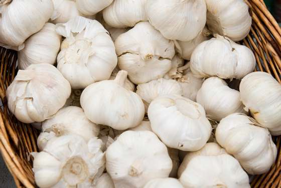 Cloves of garlic are offered for sale at Eastern Market on Capitol Hill in Washington, DC, on June 27, 2008. According to a survey released on June 26, nearly a quarter of Americans are cutting back their spending on food and healthcare thanks to rising fuel prices. AFP PHOTO/SAUL LOEB (Photo credit should read SAUL LOEB/AFP/Getty Images)