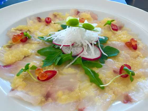 Ceviche de peixe branco