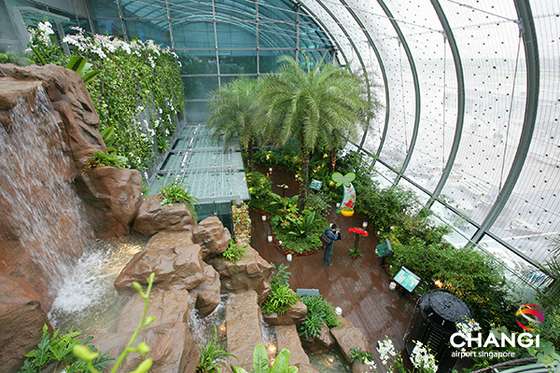 Terminal-3-Transit-Worlds-first-Butterfly-Garden-in-an-airport