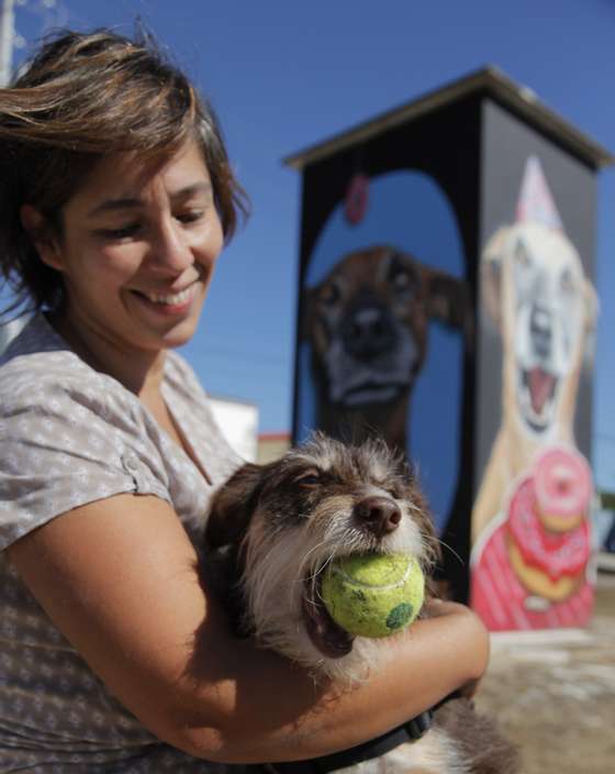 Catarina Dias gerente do projeto Matilha brinca com o seu cÃ£o no recinto para treino de animais domÃ©sticos em Pataias que faz parte do projeto Matilha que procura alertar para os maus tratos a animais atravÃ©s da arte urbana. O projeto foi iniciado pelo artista Ricardo Romero tambÃ©m conhecido por Ship, que comeÃ§ou a pintar os cÃ£es nas paredes de edifÃ­cios abandonados, em Leiria, 28 de setembro de 2015. (ACOMPANHA TEXTO) PAULO CUNHA/LUSA