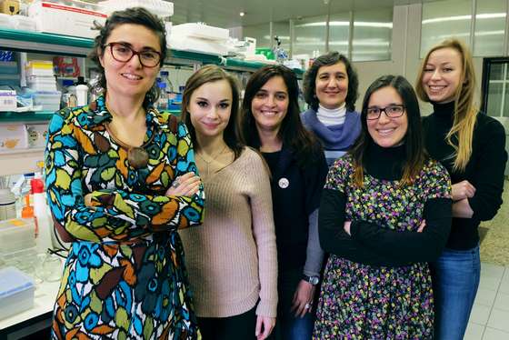 A equipa de Ana Domingos no Instituto Gulbenkian de Ci&Atilde;&ordf;ncia - Catarina J&Atilde;&ordm;lio/IGC