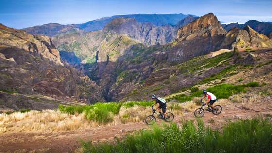 Downhill Madeira