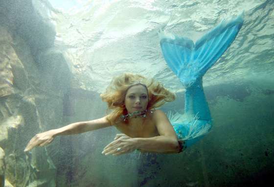 SYDNEY, NEW SOUTH WALES - DECEMBER 18: "Mermaid" Hannah Fraser swims in the new exhibit at Sydney Aquarium built to hopuse dugongs Pig and Wuru on December 18, 2008 in Sydney, Australia. The exhibit will open to the general public on December 19, featuring the 2 orphaned marine animals which have been relocated from Sea World. (Photo by Mark Kolbe/Getty Images)