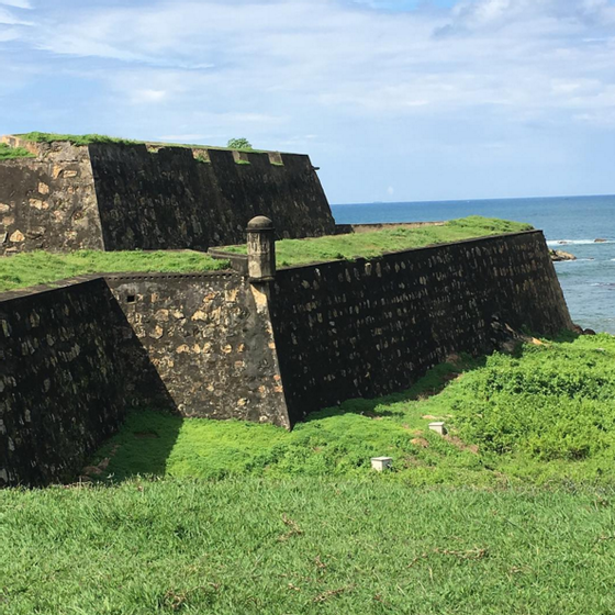 galle Maria JoÃ£o Lopo de Carvalho