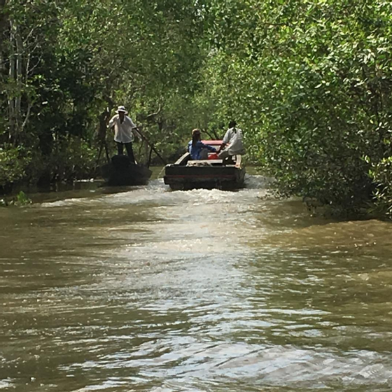 rio mekong MJLC