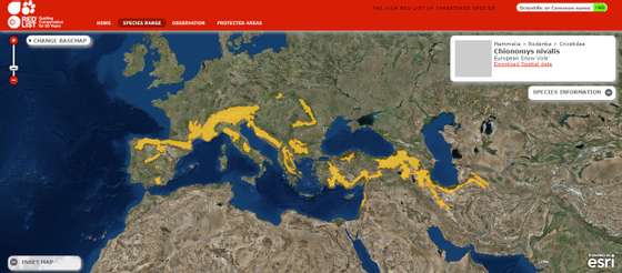 Distribuicao rato-das-neves_IUCN