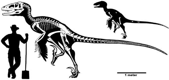 Size-reconstruction