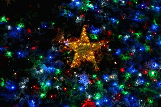 BRISBANE, AUSTRALIA - DECEMBER 20: Lights shine on a 20m solar-powered Christmas tree in King George's Square on December 20, 2013 in Brisbane, Australia. Brisbane's annual lighting of the Christmas Tree is in its 122th year. The tree is the largest solar-powered tree in the southern hemisphere featuring 16,000 christmas light blubs. (Photo by Chris Hyde/Getty Images)