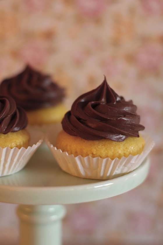 cupcake_clementina_b_2