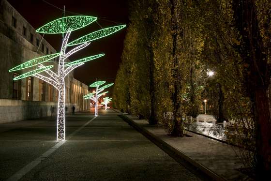 IluminaÃ§Ãµes de Natal em Matosinhos