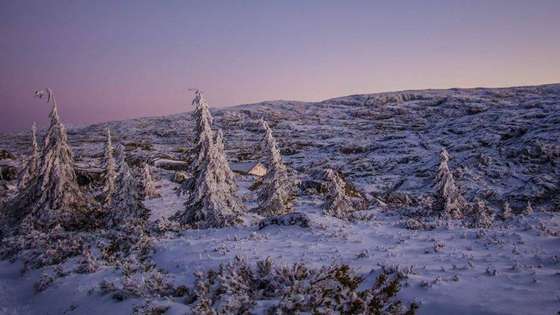 H&Atilde;&copy;lder Tavares Tavares Serra da Estrela 2
