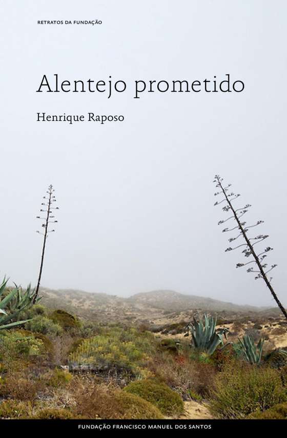 O livro de Henrique Raposo