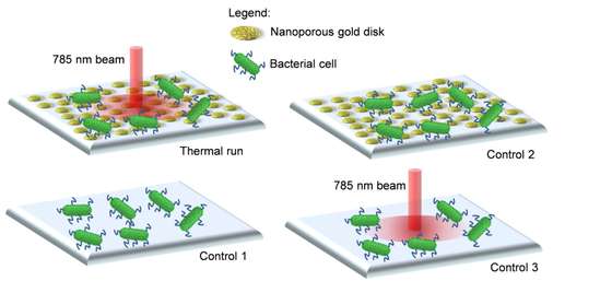 Santos et al 2016 OME_bacterias nanoparticulas de ouro_2