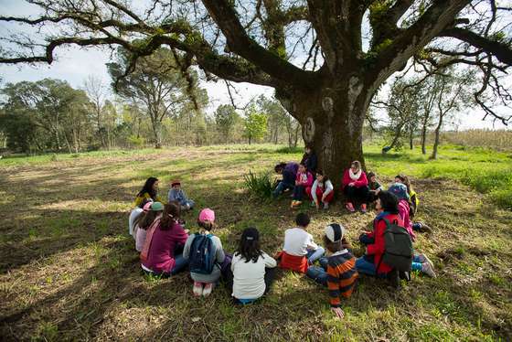 Educa&Atilde;&sect;&Atilde;&pound;o ambiental - Comunica&Atilde;&sect;&Atilde;&pound;o da import&Atilde;&cent;ncia das &Atilde;&iexcl;rvores monumentais a escolas do concelho de Alcoba&Atilde;&sect;a O maior Carvalho-portugu&Atilde;&ordf;s classificado de Interesse P&Atilde;&ordm;blico (Quercus faginea) de Portugal 32 metros de di&Atilde;&cent;metro da copa &Atilde;rvore classificada de interesse p&Atilde;&ordm;blico desde 2001 Alcoba&Atilde;&sect;a
