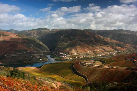 DOURO LINE 1