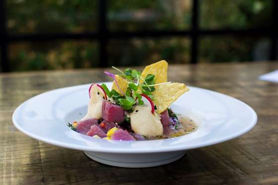 ceviche flow