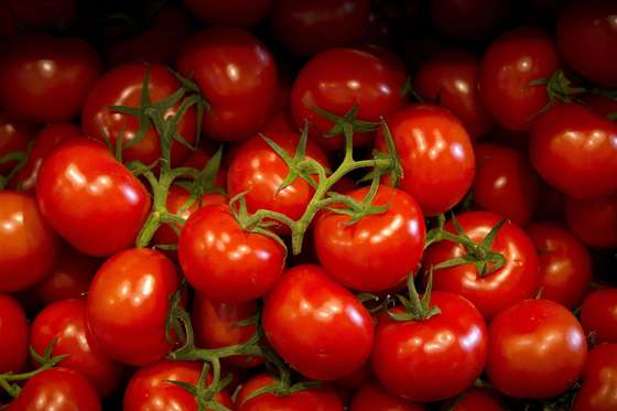 This picture taken on May 9, 2014 shows trusses of tomatoes on a supermarket display in Paris, France. AFP PHOTO /JOEL SAGET (Photo credit should read JOEL SAGET/AFP/Getty Images)