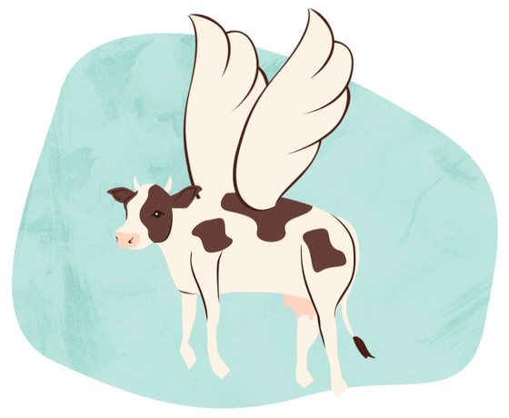 Vaca-voar-2