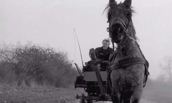 O cavalo de Turim (A torin&Atilde;&sup3;i l&Atilde;&sup3;), filme de 2011 do realizador h&Atilde;&ordm;ngaro B&Atilde;&copy;la Tarr