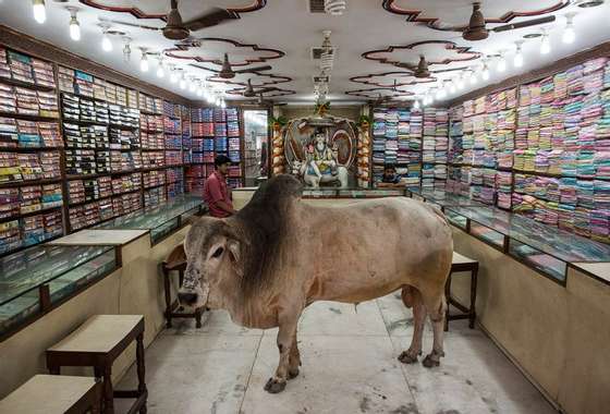 Loja de roupa em Varanasi, no estado de Uttar Pradesh.