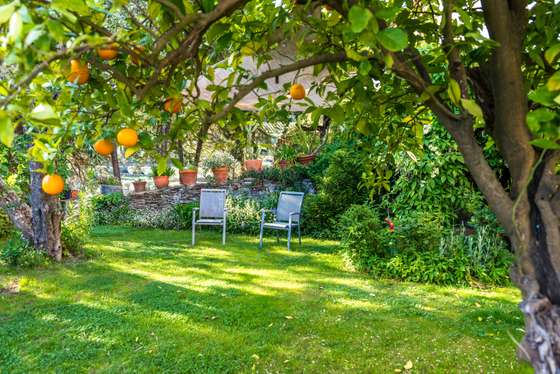 Beautiful, Ornamental Garden, Serene People, Single Flower, Residential Building, Leisure Activity, No People, Environmental Conservation, Seat, Comfortable, Beauty In Nature, Vegetable Garden, Grass, Gardening, Flowerbed, Beauty, Idyllic, Relaxation, Tranquil Scene, Orange Color, Green Color, Wood - Material, Pattern, Nature, Lifestyles, Outdoors, Recreational Pursuit, Orange - Fruit, Tree, Flower, Day, Summer, Springtime, Terraced Field, Balcony, Patio, House, Home Interior, Formal Garden, Design, Decor, Table, Chair, Furniture, friuts, 