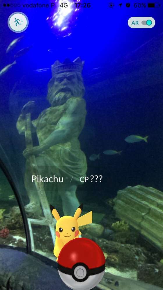 Febre do Pok&Atilde;&copy;mon GO invade o SEA LIFE Porto (1)