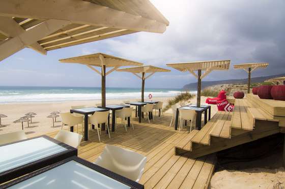 BARDOGUINCHO35