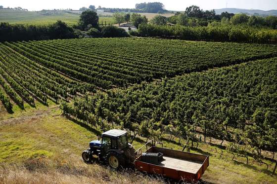 Quinta do Monte d'Oiro