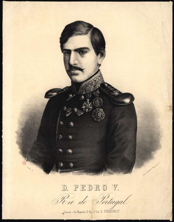 D. Pedro V