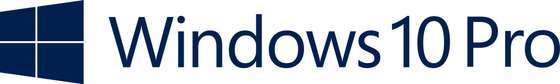 Windows_10_Pro_Blue (1)