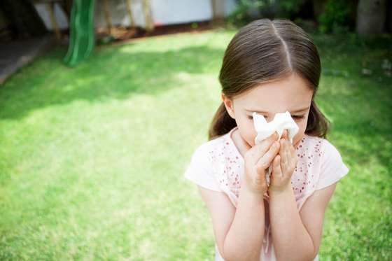 Focus On Foreground, Elementary Age, Pigtails, Grass, Child, Standing, Blowing, Sneezing, Holding, Allergy, Caucasian Ethnicity, Problems, Innocence, Small, Lifestyles, Childhood, Outdoors, Horizontal, Illness, People, Day, Front or Back Yard, 