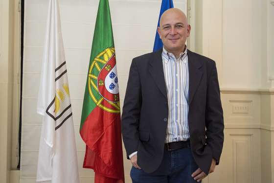 Harry mitsidis portugal